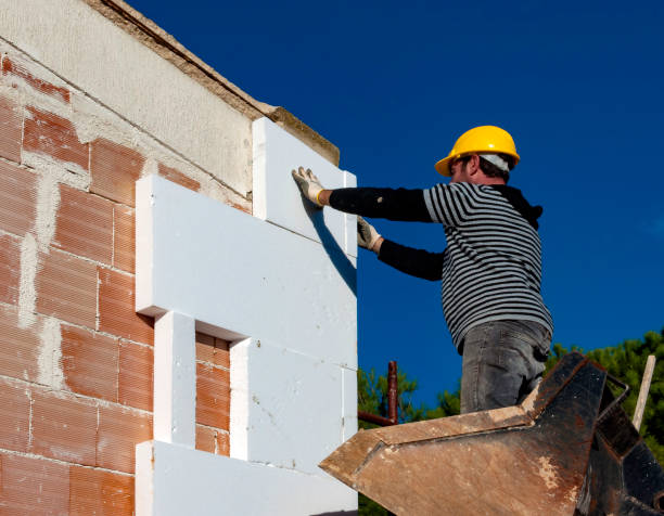 Tornillo, TX Insulation Contractor Pros