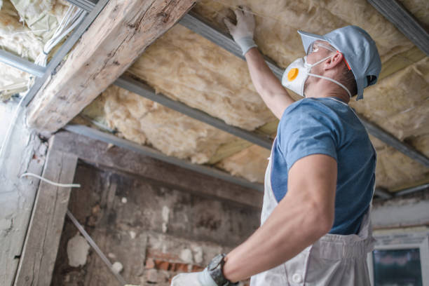 Best Types of Insulation in Tornillo, TX