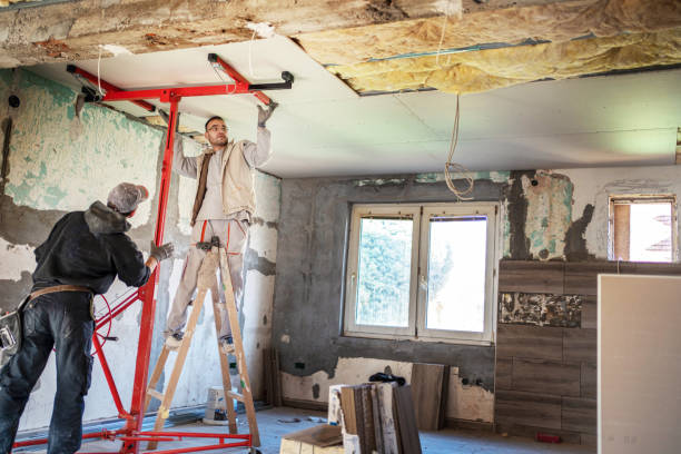 Best Insulation Installation Services in Tornillo, TX